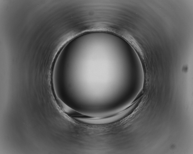 X0000098170805200804241154