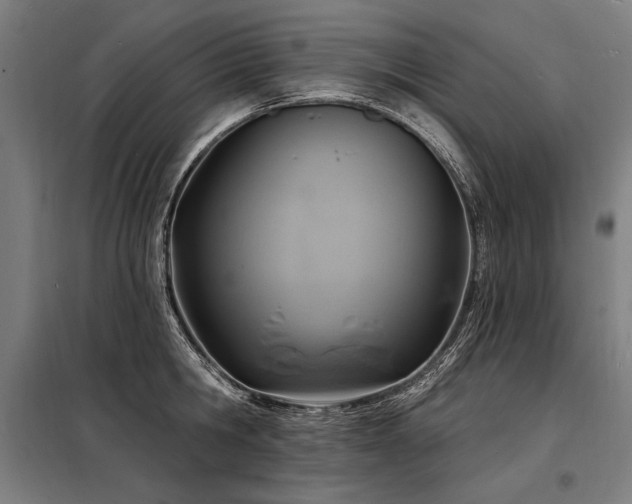 X0000098170806200804241154