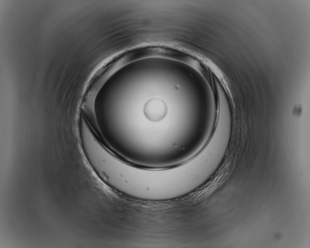 X0000098170807200804241154