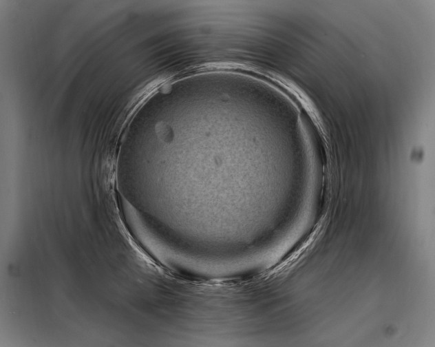 X0000098170809200804241154