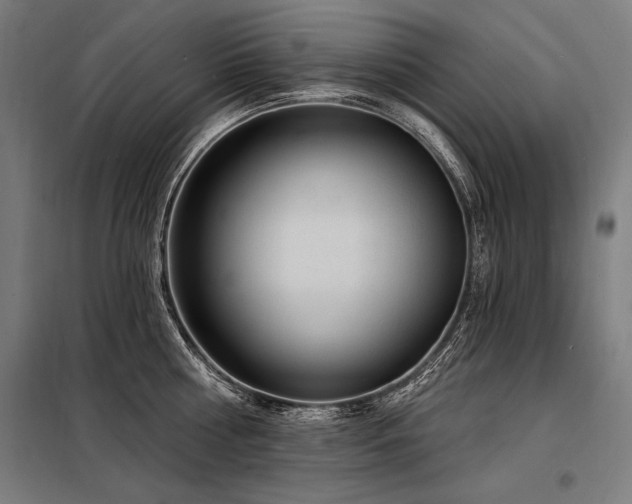 X0000098170810200804241154