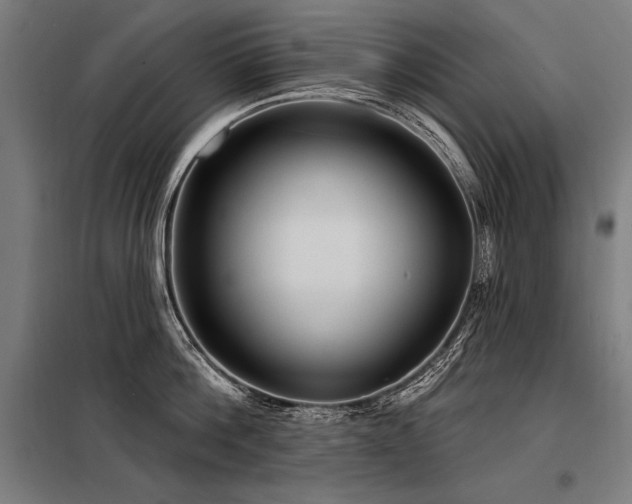 X0000098170812200804241154