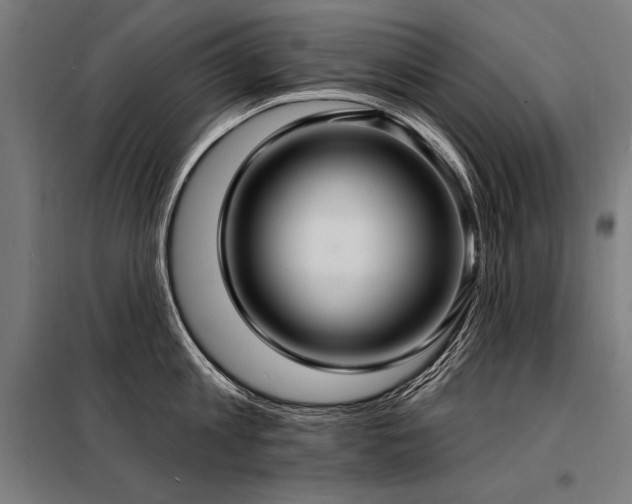 X0000098170813200804241154