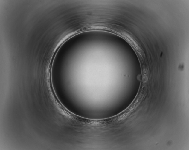 X0000098170814200804241154