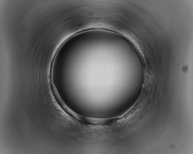 X0000098170815200804241154