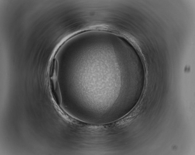 X0000098170816200804241154