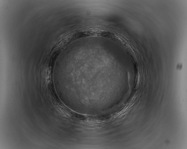 X0000098170818200804241153