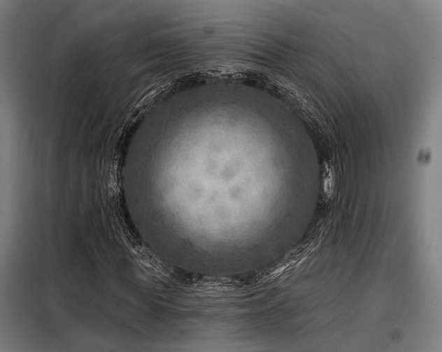 X0000098170819200804241153