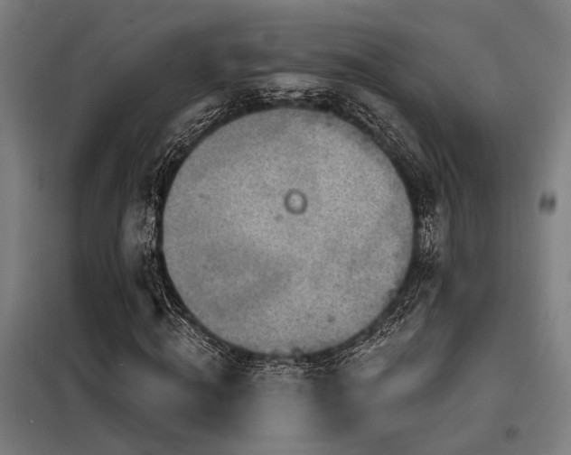 X0000098170820200804241154