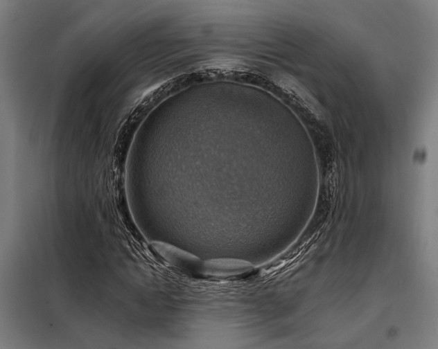 X0000098170822200804241154