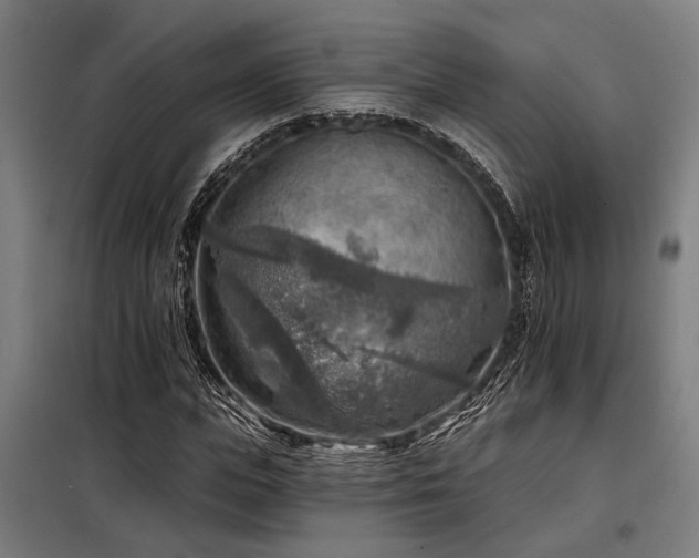 X0000098170823200804241154