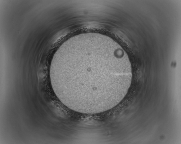 X0000098170824200804241154