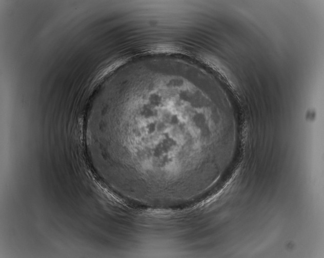 X0000098170825200804241154