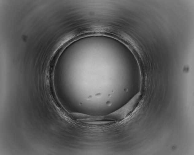 X0000098170827200804241154