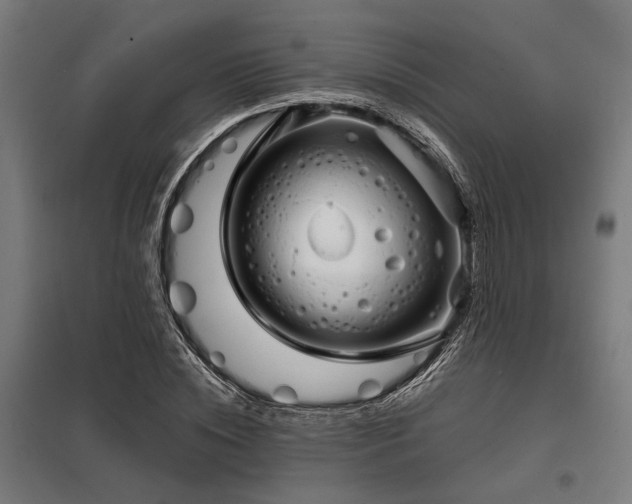 X0000098170828200804241154