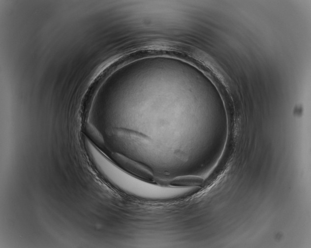 X0000098170829200804241154