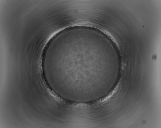 X0000098170830200804241154