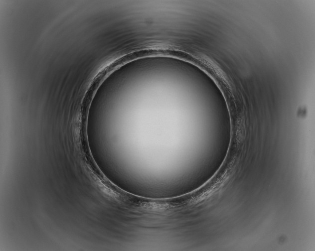 X0000098170831200804241154