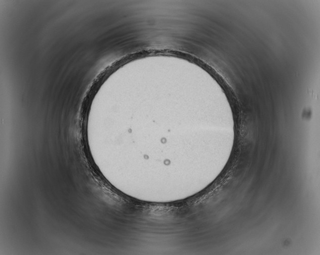 X0000098170832200804241154