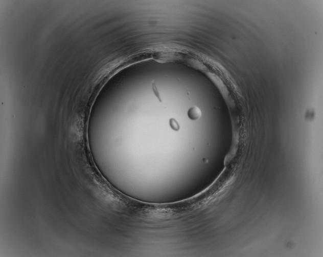 X0000098170833200804241154