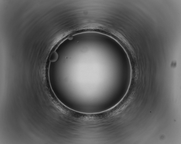 X0000098170834200804241154