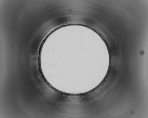 X0000098170836200804241154