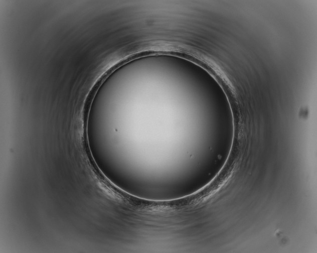 X0000098170837200804241154