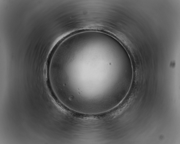 X0000098170838200804241154