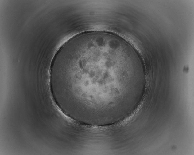 X0000098170839200804241154