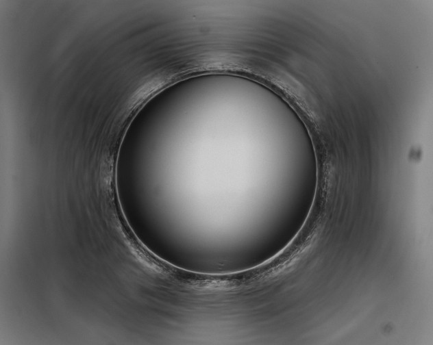 X0000098170841200804241154