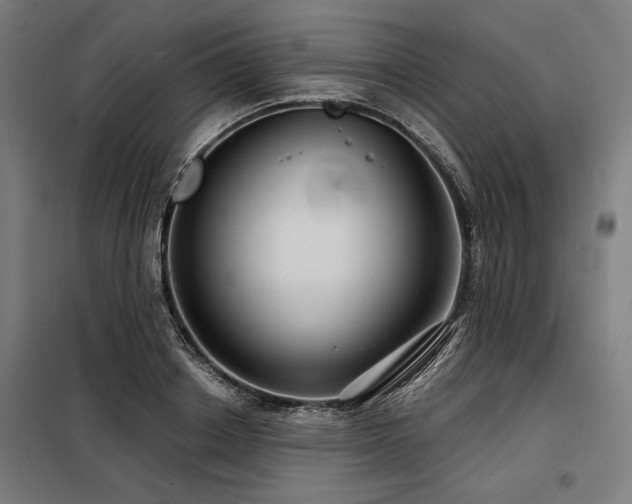 X0000098170842200804241154