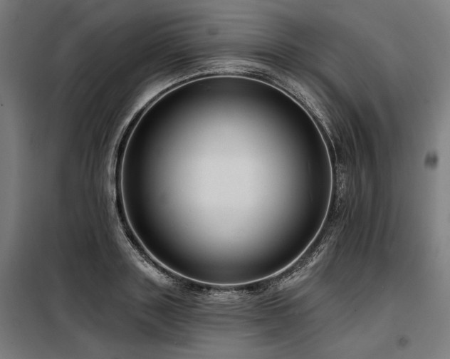 X0000098170843200804241154