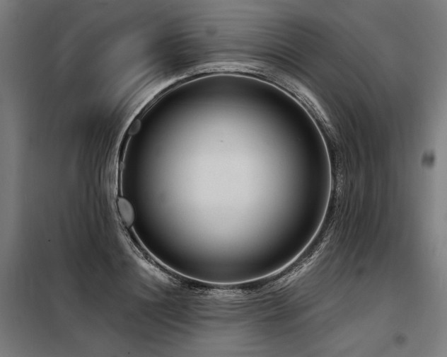 X0000098170844200804241154