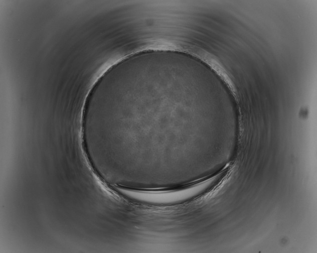 X0000098170845200804241154