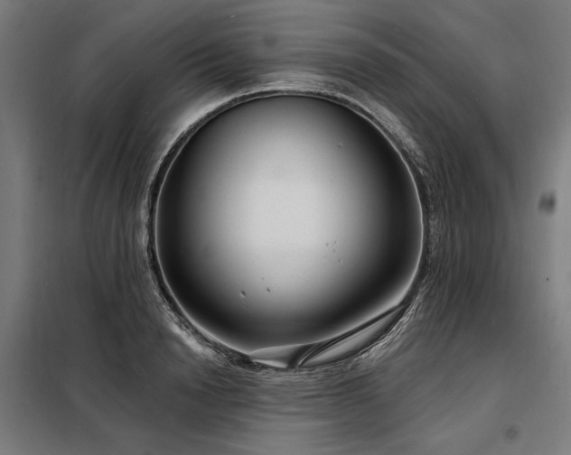 X0000098170846200804241154