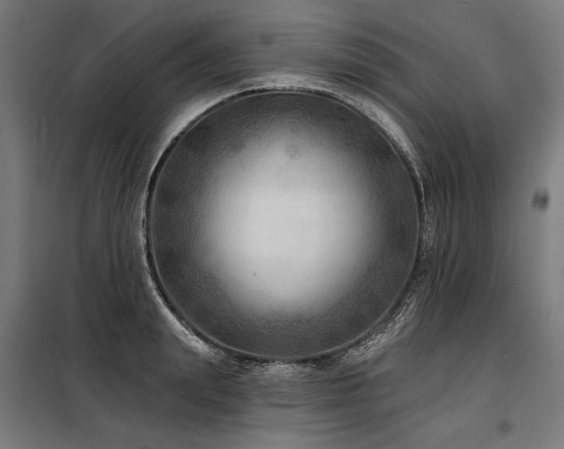 X0000098170847200804241154