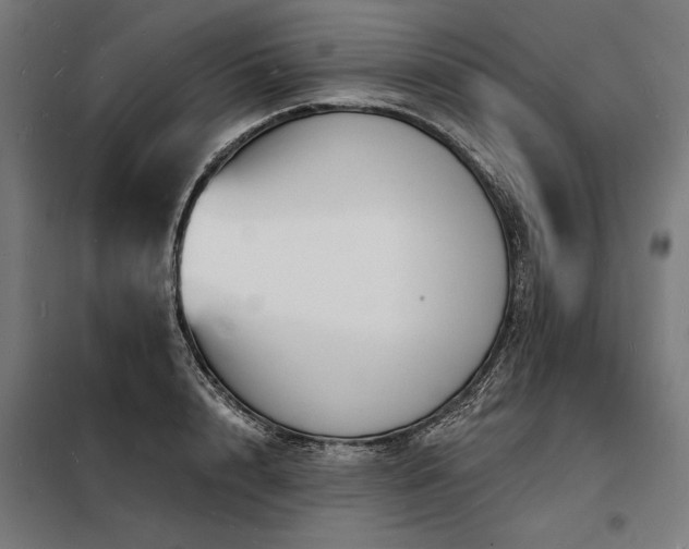 X0000098170848200804241154