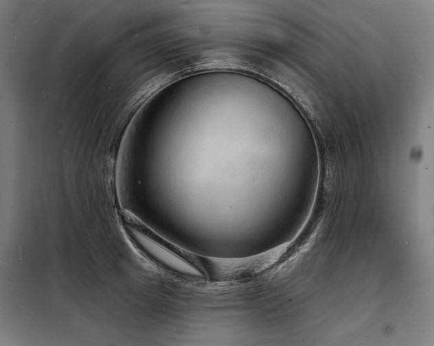 X0000098170849200804241154