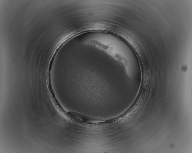 X0000098170850200804241154