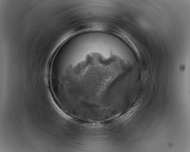 X0000098170851200804241154