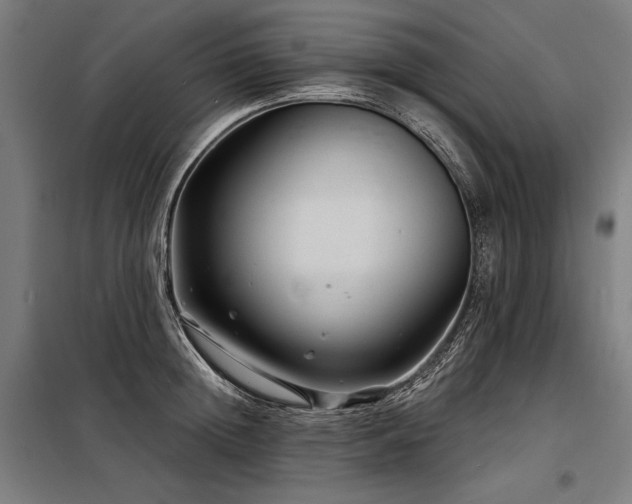 X0000098170852200804241154