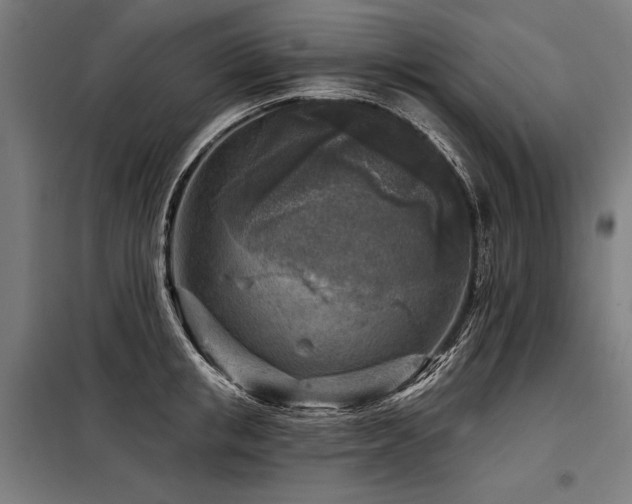 X0000098170853200804241154