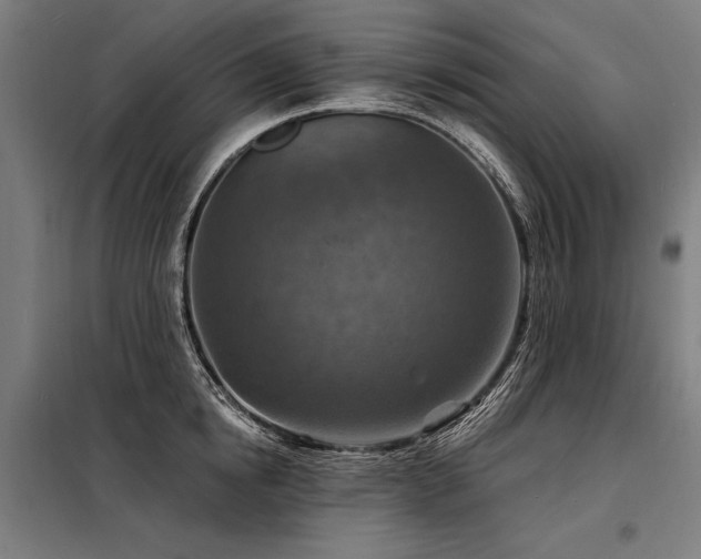 X0000098170854200804241154