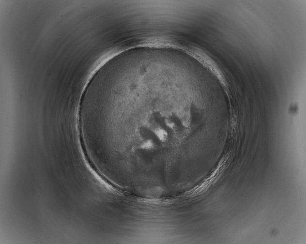 X0000098170855200804241154