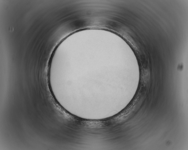 X0000098170856200804241154