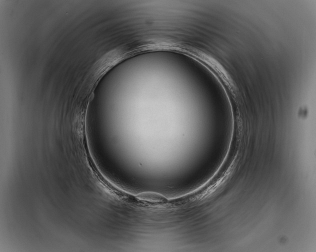 X0000098170857200804241154