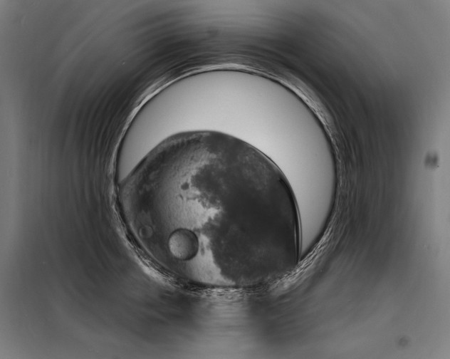 X0000098170858200804241154