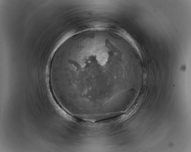 X0000098170859200804241154