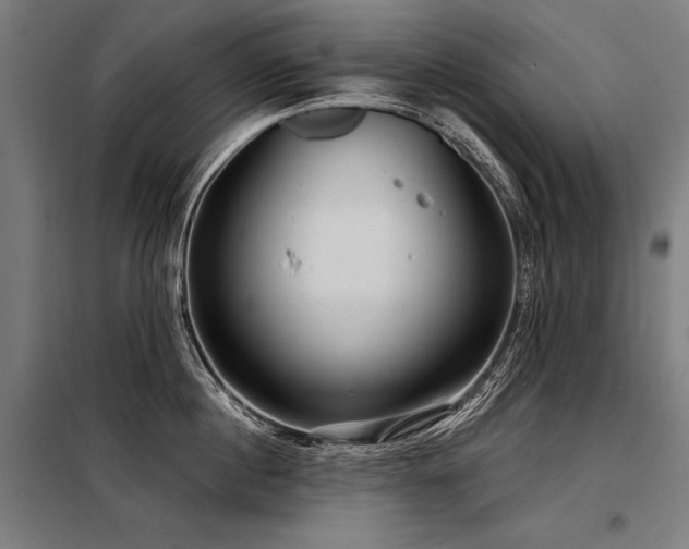 X0000098170860200804241154