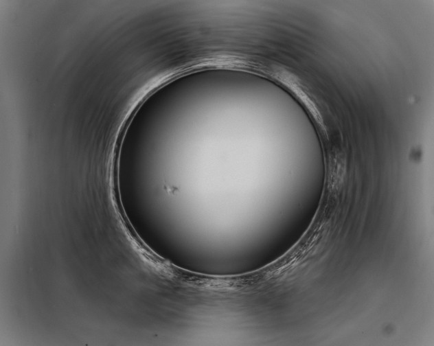 X0000098170861200804241154